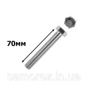 Болт з 6-гран головкою 10х70 /