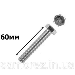 Болт з 6-гран головкою 12х60 /