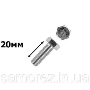 Болт з 6-гран головкою 10х20 31907 /