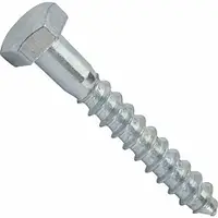 Шуруп по дереву з 6-гран голівкою 6х30 /