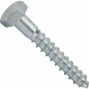 ШУРУП з шестигранною головкою 10х160 31835 /