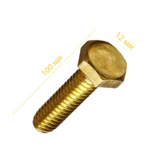 Болт з 6-гран головкою 12х100 /